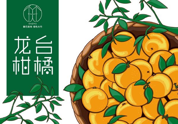 水果杨家柑橘包装设计